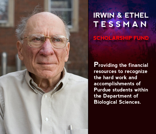 Irwin Tessmann