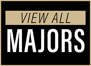View all majors.