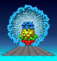 New visualization technique has potential to advance structural biology