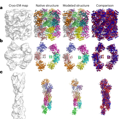 comparision of traditional Cryo-EM model and new Diffmodeler image